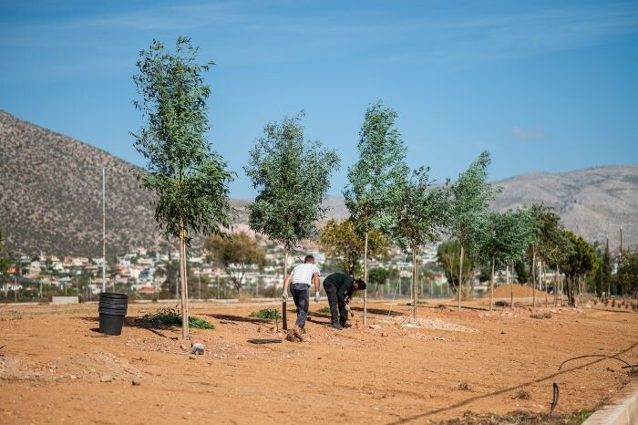 Κάτι ξεχωριστό γεννιέται στην είσοδο της Αναβύσσου!