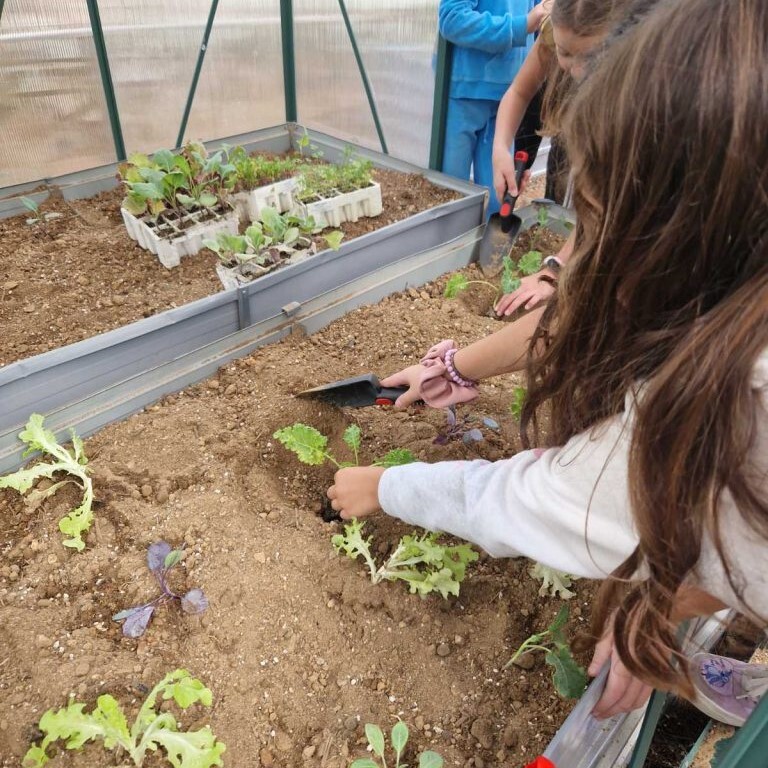 Thalla: Ένα παιδικό Εργαστήρι Αγρο-οικολογίας στο 1ο Δημοτικό Σχολείο Διονύσου – anattica