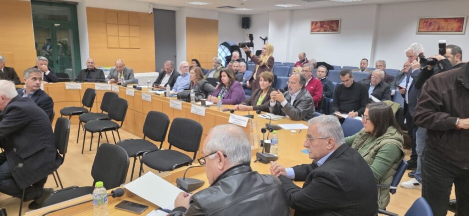 Η Δήμαρχος Ραφήνας – Πικερμίου στη συνεδρίαση της ΠΕΔ Αττικής για τον Νέο Κώδικα – anattica