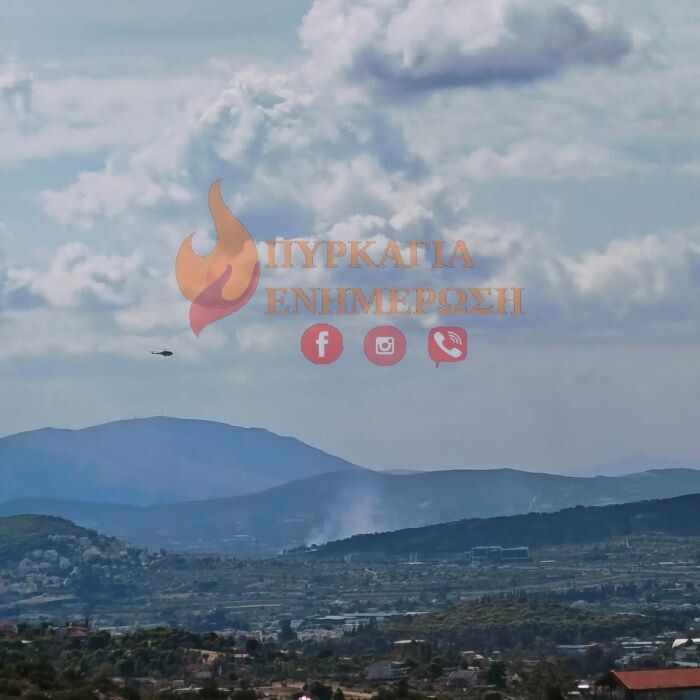 Φωτιά στην Παιανία: Ισχυρές δυνάμεις σε χαμηλή βλάστηση