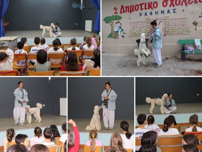 Βιωματική δράση για την Παγκόσμια Ημέρα των Ζώων στο 2ο Δημοτικό Σχολείο Ραφήνας